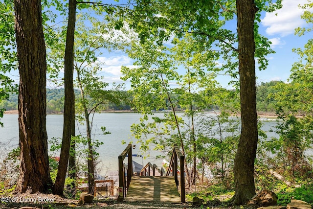 422 Lilac Ln, Cub Run, KY 42729 - water view featuring a boat dock
