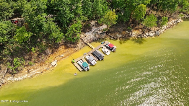 422 Lilac Ln, Cub Run, KY 42729 - bird's eye view