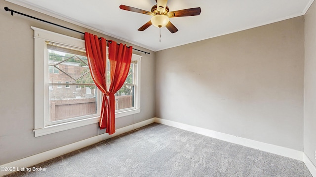 2400 Concord Dr, Louisville, KY 40217 - photo 21