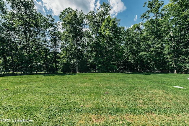 164 Greenshores Circle Ln, Mcdaniels, KY 40152 - view of green lawn