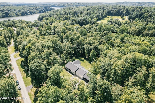 164 Greenshores Circle Ln, Mcdaniels, KY 40152 - bird's eye view of a heavily wooded area