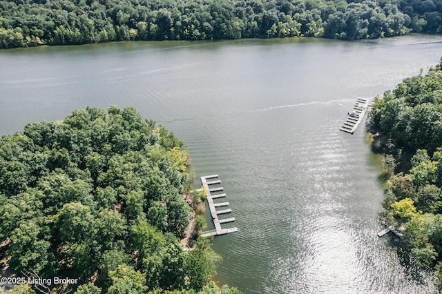 164 Greenshores Circle Ln, Mcdaniels, KY 40152 - drone / aerial view of a large body of water
