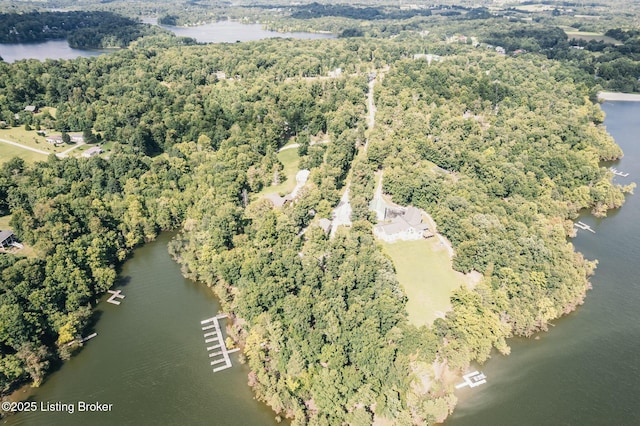 164 Greenshores Circle Ln, Mcdaniels, KY 40152 - aerial view of property and surrounding area featuring a nearby body of water and a forest