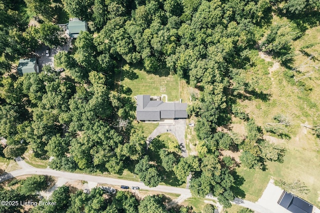 164 Greenshores Circle Ln, Mcdaniels, KY 40152 - aerial view of property and surrounding area