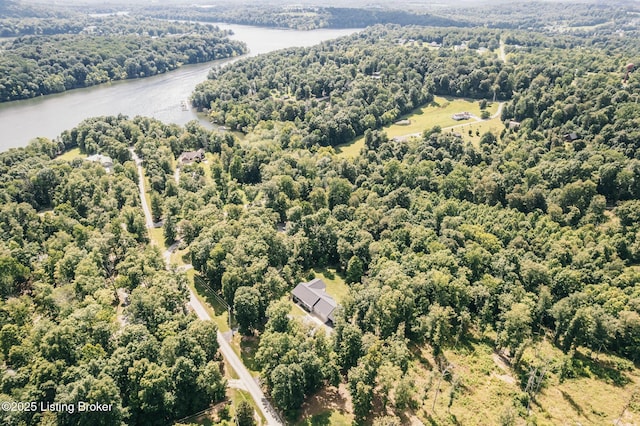 164 Greenshores Circle Ln, Mcdaniels, KY 40152 - aerial view of a nearby body of water