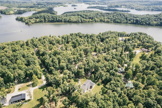 164 Greenshores Circle Ln, Mcdaniels, KY 40152 - bird's eye view of a heavily wooded area and a large body of water