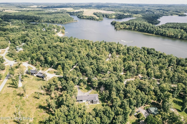164 Greenshores Circle Ln, Mcdaniels, KY 40152 - aerial overview of property's location with a large body of water and a forest
