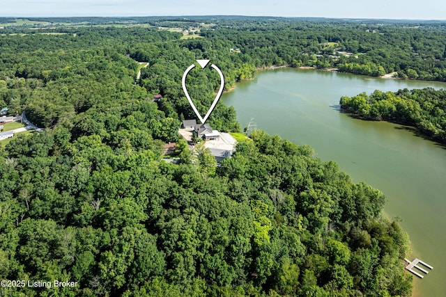 309 Clarks Ln, Clarkson, KY 42726 - aerial view of a large body of water
