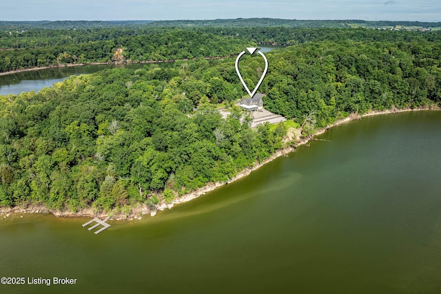 309 Clarks Ln, Clarkson, KY 42726 - aerial view of property's location featuring a large body of water