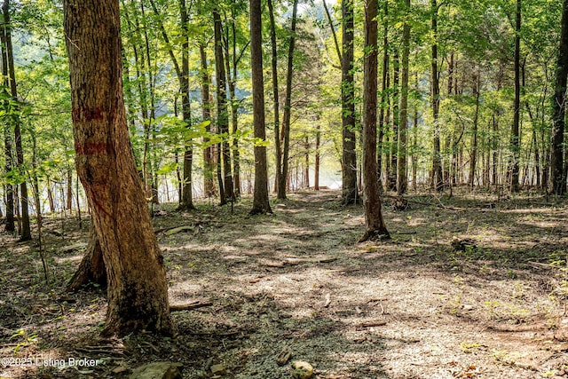 309 Clarks Ln, Clarkson, KY 42726 - view of wooded area