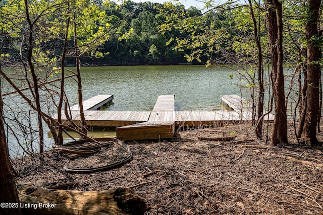 309 Clarks Ln, Clarkson, KY 42726 - dock with a water view and a wooded view