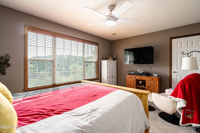 309 Clarks Ln, Clarkson, KY 42726 - bedroom with ceiling fan
