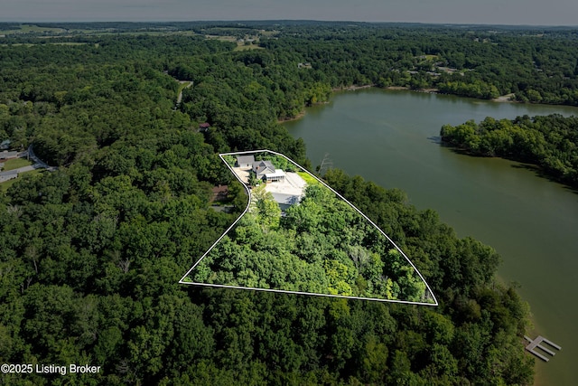 309 Clarks Ln, Clarkson, KY 42726 - aerial view of property's location featuring a nearby body of water and property boundaries highlighted