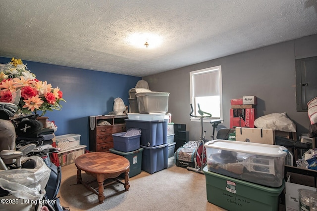 2923 High Plains Rd, Vine Grove, KY 40175 - storage with electric panel