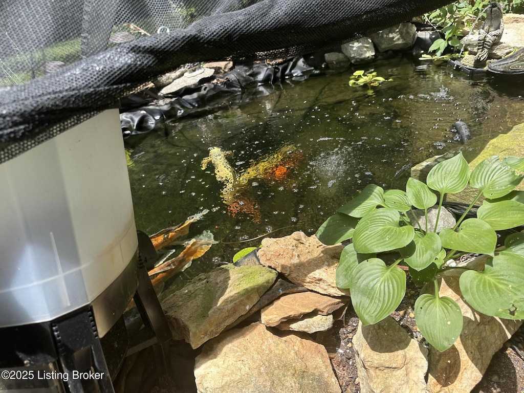 11409 N Tazwell Dr, Louisville, KY 40241 - detailed view of a small pond