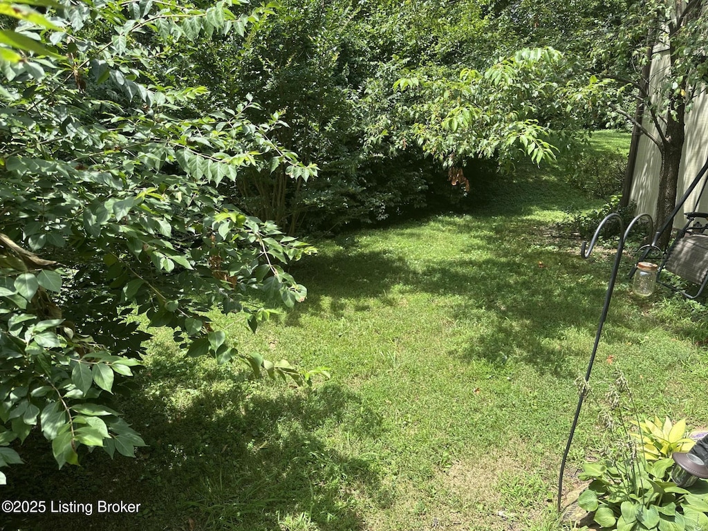 11409 N Tazwell Dr, Louisville, KY 40241 - view of grassy yard