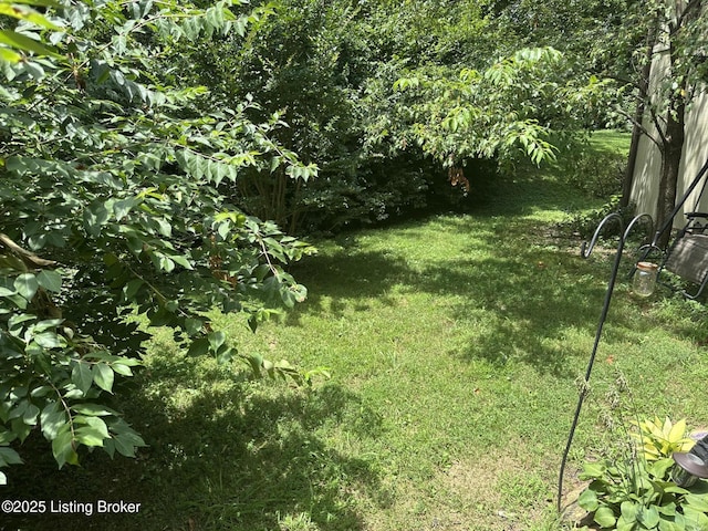11409 N Tazwell Dr, Louisville, KY 40241 - view of grassy yard