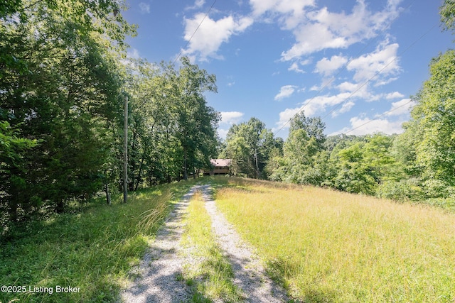 1465 Swope Rd, Owenton, KY 40359 - view of yard with driveway and a view of trees
