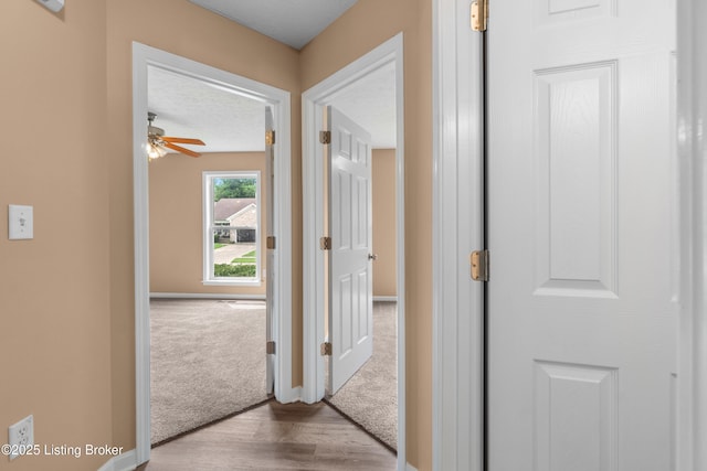 7709 Kenbrook Pl, Louisville, KY 40258 - photo 20