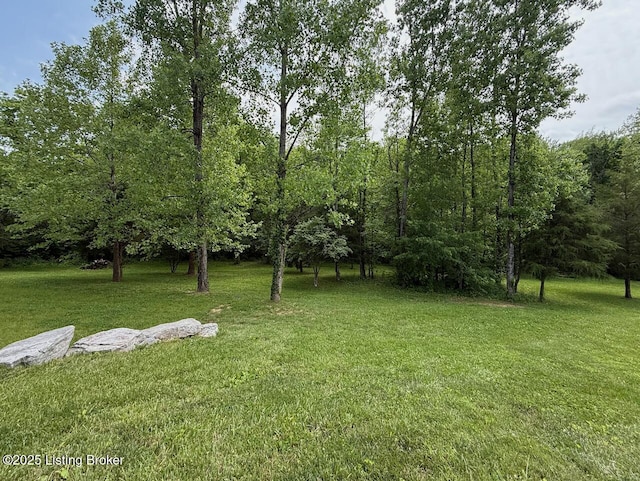3637 Mount Washington Rd, Taylorsville, KY 40071 - view of green lawn