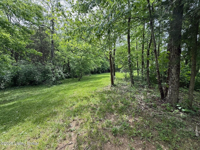 3637 Mount Washington Rd, Taylorsville, KY 40071 - view of grassy yard featuring a view of trees
