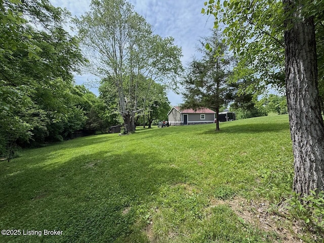 3637 Mount Washington Rd, Taylorsville, KY 40071 - view of green lawn