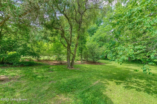 6311 Fible Ln, Crestwood, KY 40014 - photo 61