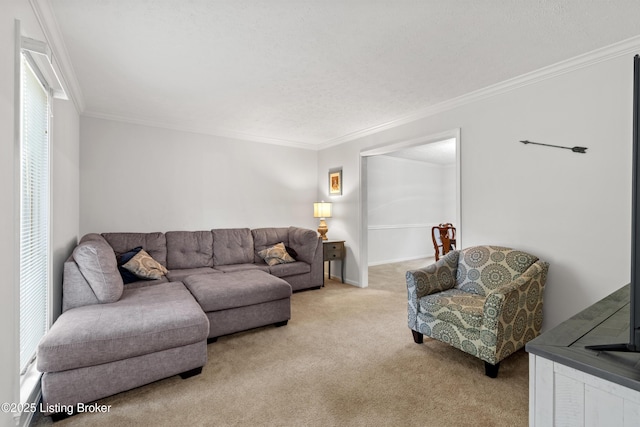 10218 Falling Tree Way, Louisville, KY 40223 - photo 29