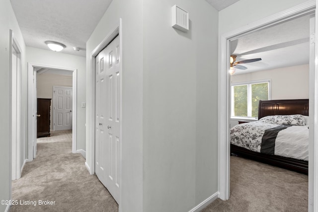 10218 Falling Tree Way, Louisville, KY 40223 - photo 36