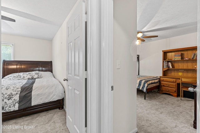 10218 Falling Tree Way, Louisville, KY 40223 - photo 39