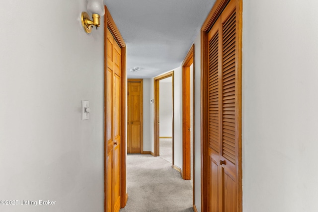 7502 Sam Ct, Louisville, KY 40214 - corridor with light carpet and baseboards