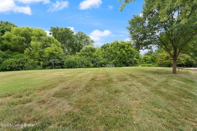 3507 Paragon Ct Unit 12, Louisville, KY 40218 - photo 21