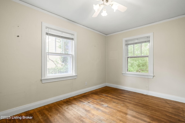 3941 Staebler Ave, Louisville, KY 40207 - photo 12