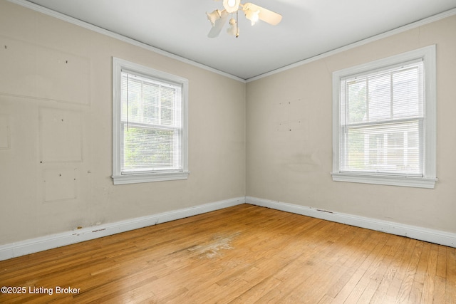 3941 Staebler Ave, Louisville, KY 40207 - photo 14