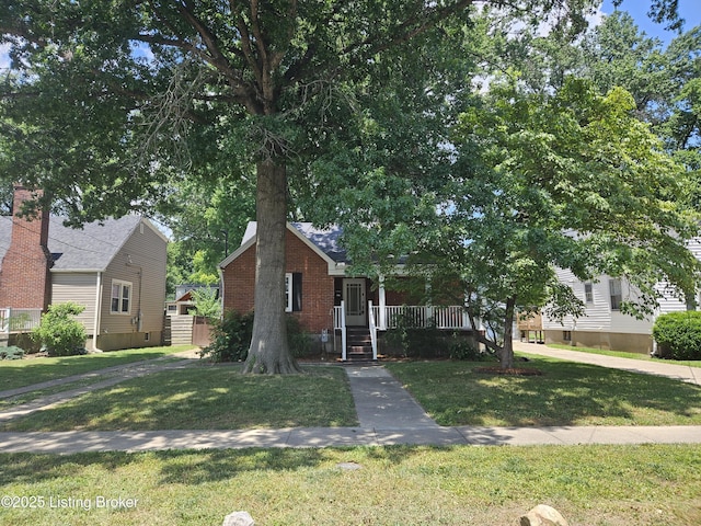 3919 Staebler Ave, Louisville, KY 40207 - view of property hidden behind natural elements with a front lawn