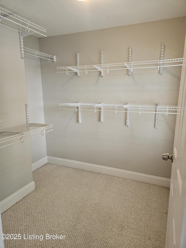 3919 Staebler Ave, Louisville, KY 40207 - walk in closet featuring carpet floors