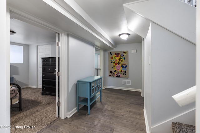 1516 Lincoln Ave, Louisville, KY 40213 - photo 19