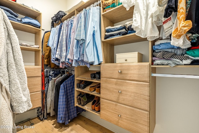 6115 Passionflower Dr, Prospect, KY 40059 - spacious closet with light wood-type flooring