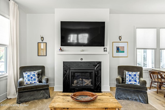 6115 Passionflower Dr, Prospect, KY 40059 - living room with a glass covered fireplace and wood finished floors