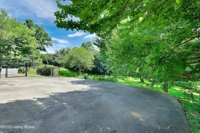 3407 Hillsboro Rd, Louisville, KY 40207 - view of asphalt road featuring a gate