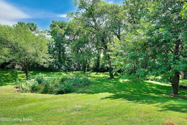 3407 Hillsboro Rd, Louisville, KY 40207 - view of green lawn