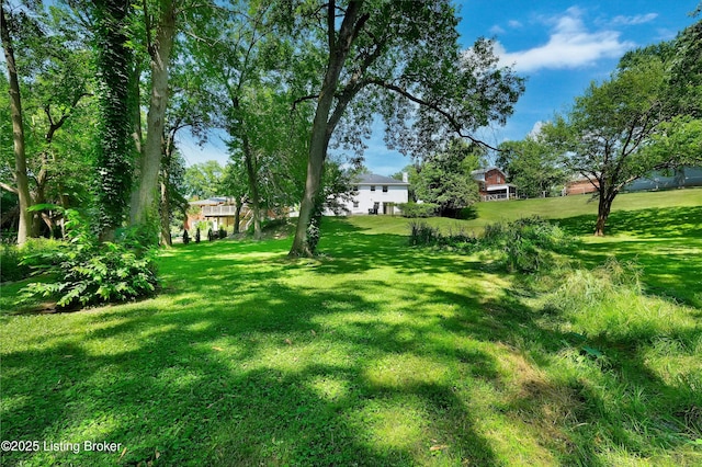 3407 Hillsboro Rd, Louisville, KY 40207 - view of green lawn