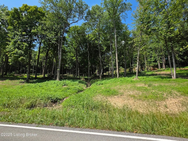 0 Cave Creek Rd, Falls Of Rough, KY 40119