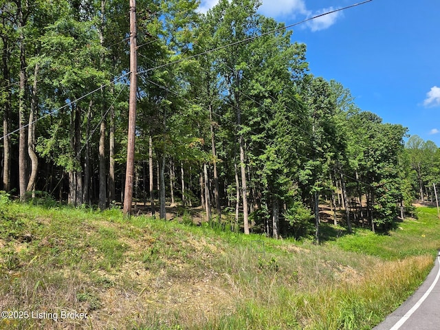 0 Cave Creek Rd, Falls Of Rough, KY 40119
