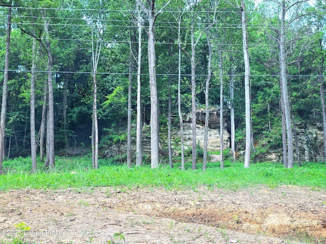 0 Cave Creek Rd, Falls Of Rough, KY 40119
