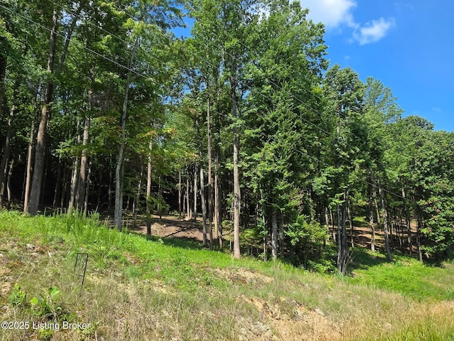 0 Cave Creek Rd, Falls Of Rough, KY 40119