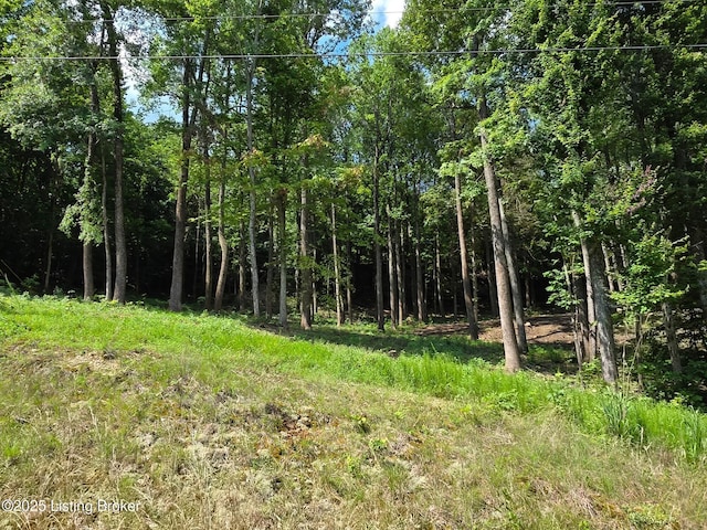 0 Cave Creek Rd, Falls Of Rough, KY 40119