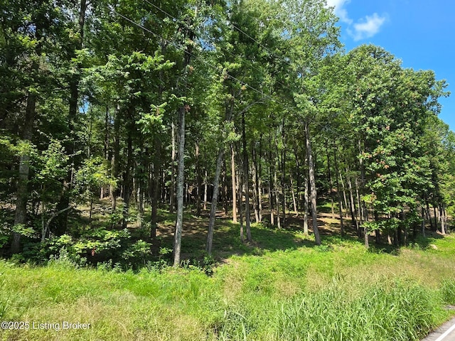0 Cave Creek Rd, Falls Of Rough, KY 40119
