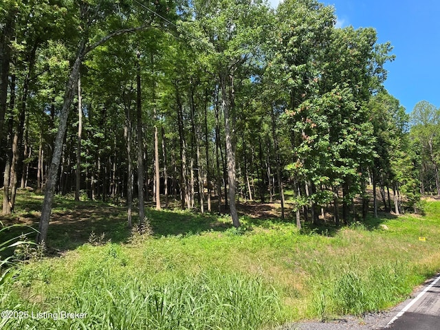 0 Cave Creek Rd, Falls Of Rough, KY 40119