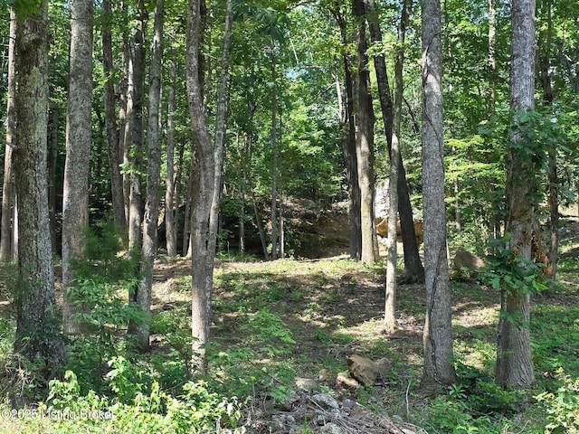0 Cave Creek Rd, Falls Of Rough, KY 40119
